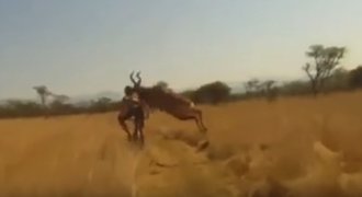 Cyklista neustál atak antilopy. Skok zachytila kamera druhého jezdce