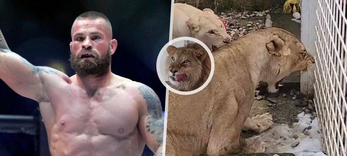 Obávaný MMA bijec Vémola: Další stěhování zvířete! Obávaný MMA bijec Vémola: Další stěhování zvířete!