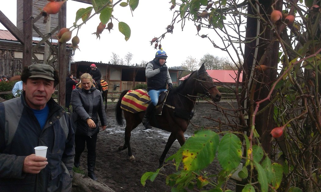 Kůň Nikas se ve dvanácti letech loučil s dostihovou kariérou při tradiční Hubertově jízdě. V sedle měl svého majitele Petra Kupku.