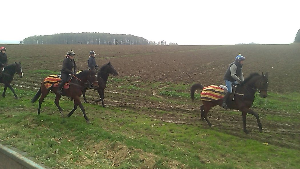 Nikas s Petrem Kupkou (vpravo) při Hubertově jízdě