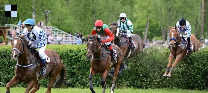 Klisna Poinsettia (Syndikát Hvězda-Olehla) si v Lysé nad Labem zazávodila i s Theophilem (DK iSport-Váňa), pozdějším vítězem Velké pardubické