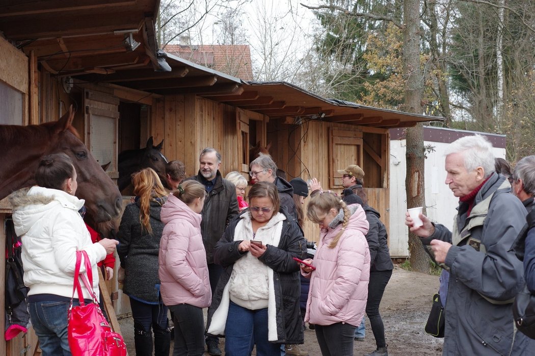 Poinsettia končí kariéru a bude chovnou klisnou v Napajedlích