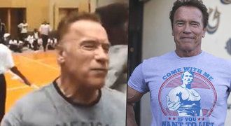 Schwarzenegger obětí napadení! V Africe schytal šílený kop