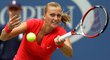 Česká tenistka Petra Kvitová se na US Open probojovala přes první kolo