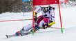 Na černé sjezdovce ve Špindlerově Mlýně se 8. března pojede obří slalom, o den později je na programu slalom.