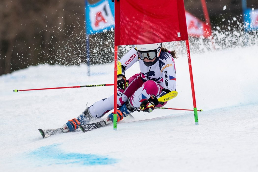 Na černé sjezdovce ve Špindlerově Mlýně se 8. března pojede obří slalom, o den později je na programu slalom.