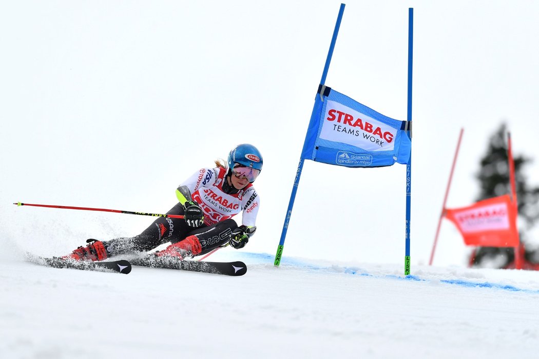 Lyžařská hvězda Mikaela Shiffrinová v obřím slalomu ve Špindlerově Mlýně