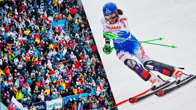 Kam zmizelo 24 milionů za SP ve Špindlu: Průšvih s Vlhovou a peníze, které nepřišly Kam zmizelo 24 milionů za SP ve Špindlu: Průšvih s Vlhovou a peníze, které nepřišly