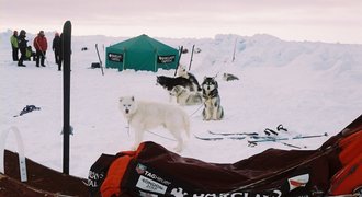 Sto let od dobytí jižního pólu: Ledový závod o podlahu světa