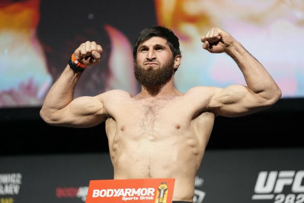 Bojovník Magomed Ankalajev Bojovník Magomed Ankalajev