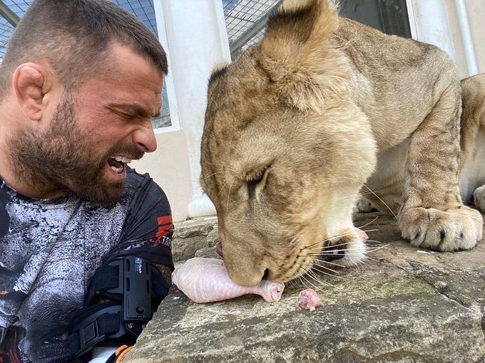 Další Vémolův malér: odebrali mu lvici Elsu. Nelegální chov, hrozí i trestní postih Další Vémolův malér: odebrali mu lvici Elsu. Nelegální chov, hrozí i trestní postih