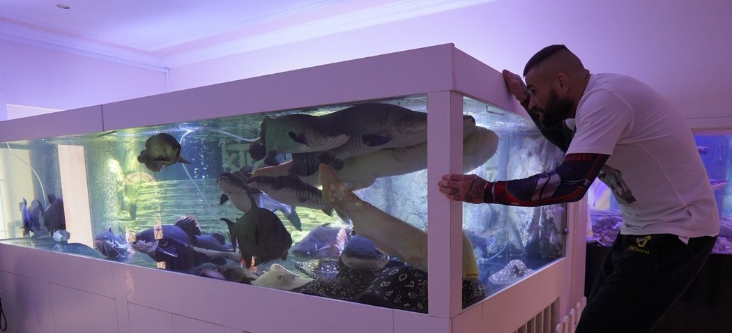 Karlos Vémola u svého akvária s rybičkami