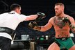 Conor McGregor na otevřeném tréninku před zápasem