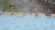 Pára nad bazénem při jedné z rozplaveb dvě stě metrů volný způsob finálového závodu Světového poháru moderních pětibojařů v maďarské Százhalombattě.