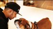 Lewis Hamilton miluje své psí mazlíčky a na sociálních sítích se jimi často chlubí.