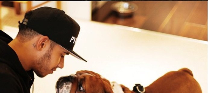 Lewis Hamilton miluje své psí mazlíčky a na sociálních sítích se jimi často chlubí.