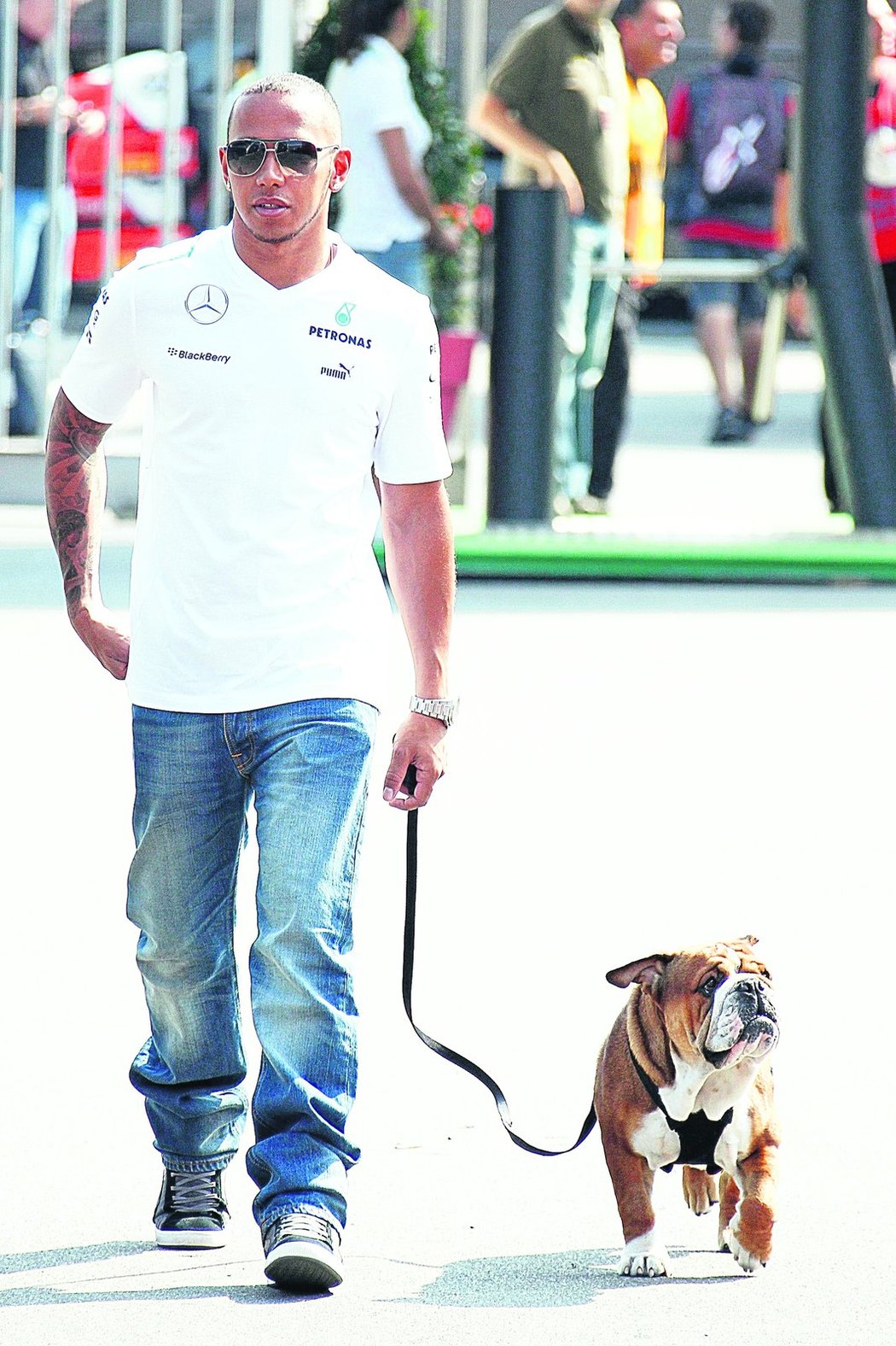 Častý pohled. Lewis Hamilton na procházce se svým psem Roscoem. Ten jako jediné zvíře dostatalo VIP vstupenku do paddocku F1.