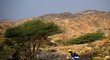 Motocyklista Martin Michek na Rallye Dakar 2023