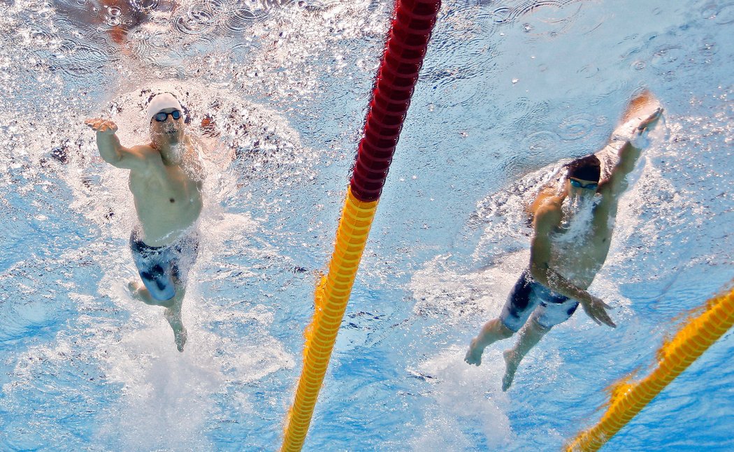 V bazénu se oba Češi potkali v sousedních drahách a Polívka (vlevo) pozdějšího vítěze s přehledem porazil