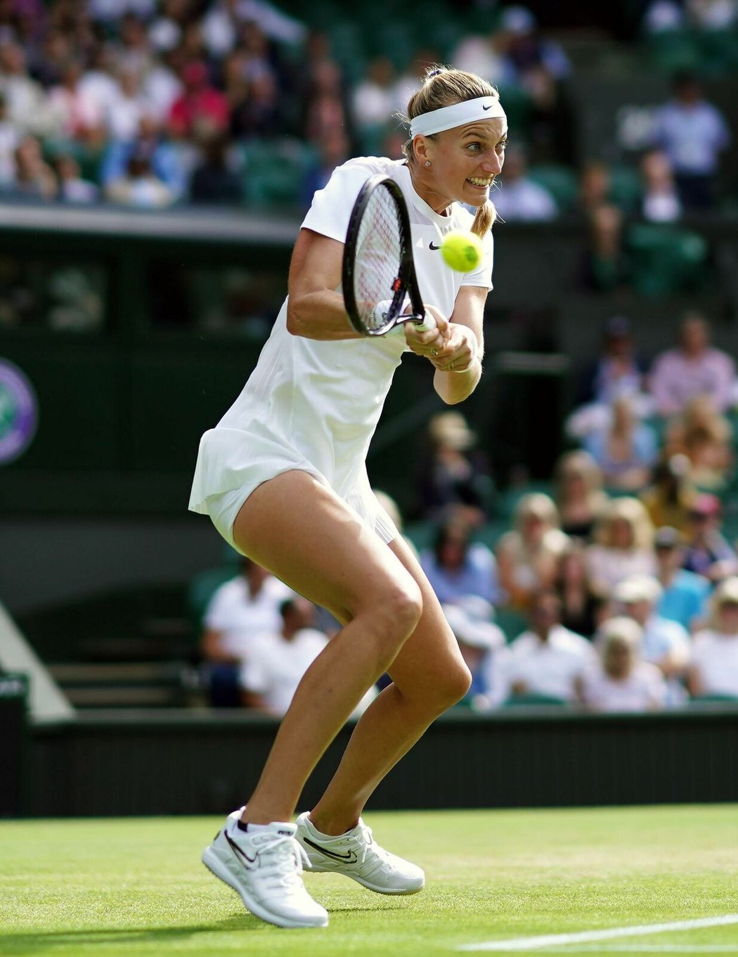 Petra Kvitová už Wimbledon ovládla dvakrát