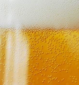 pivo