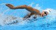 České plavání se dočkalo postupu do olympijského finále po 21 letech