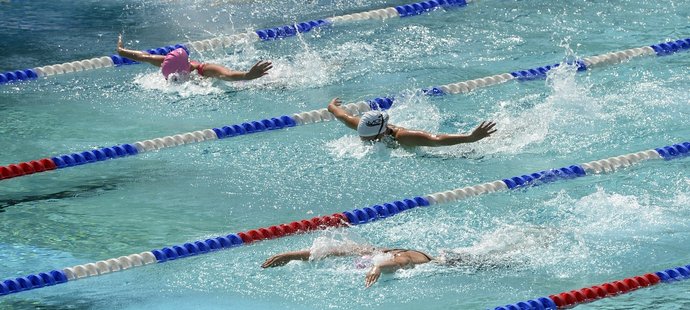V Praze se konalo mistrovství České republiky v plavání, při tréninku to ale závodníci často mají velmi složité