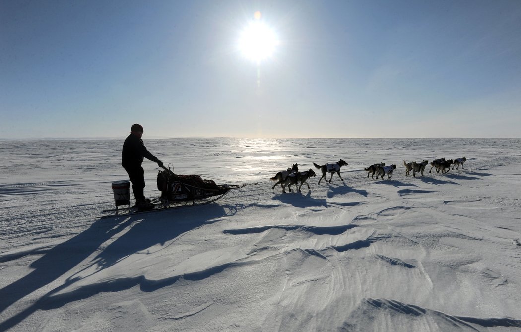 Zasněžená Aljaška a moji psi. Momentka Aliyi Zirkleové z průběhu závodu Iditarod 2013