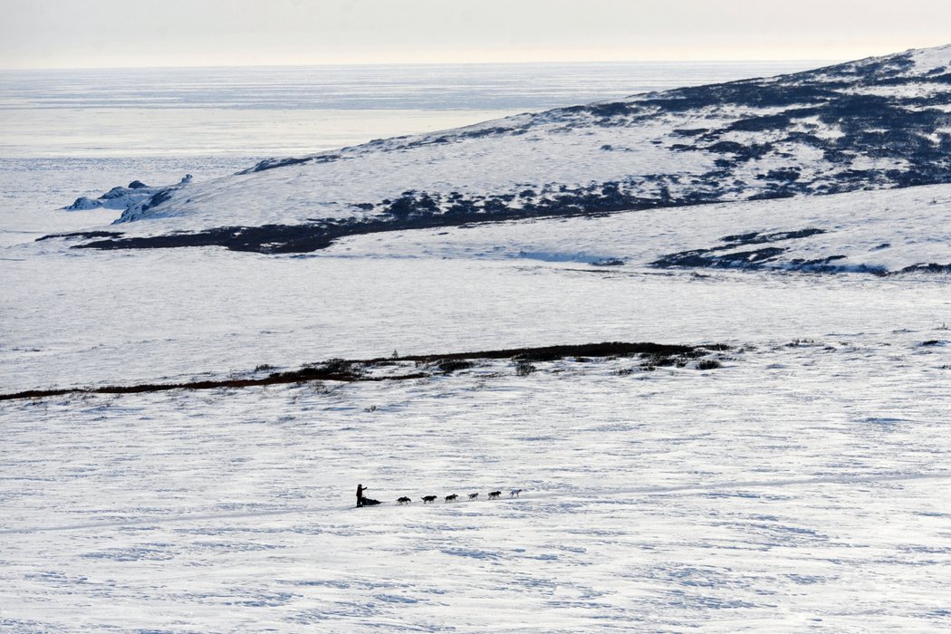 Nekonečné sněhové pláně, to jsou kulisy 1 600 kilometrů dlouhého závodu psích spřežení Iditarod. Na snímku Aliya Zirkleová, která skončila stejně jako vloni druhá