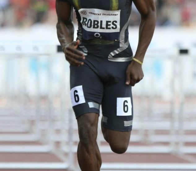 Robles