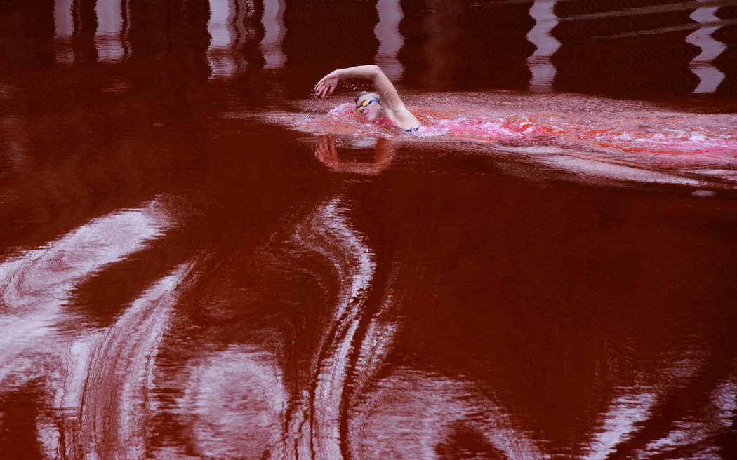 Litevka Ruta Meilutyteová symbolicky plavala v červené vodě kousek od ruské ambasády ve Vilniusu