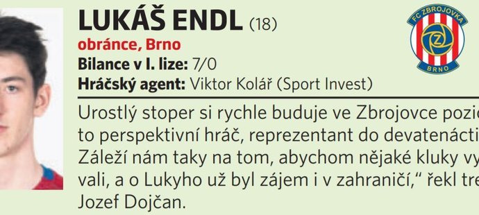 30. Lukáš Endl