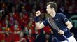 Andy Murray předvedl proti Belgii výborné výkony.