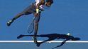Gael Monfils
