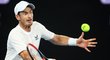 Andy Murray má na Australian Open už 50 výher