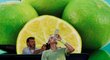 Tomáš Berdych odpočívá během čtvrtfinále Australian Open s Rogerem Federerem