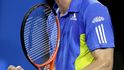 Andy Murray ve finále bojoval, na Federera ale nestačil