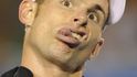 Andy Roddick