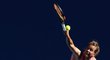 Barbora Záhlavová-Strýcová se mohla ve 3. kole Australian Open opřít o svůj servis
