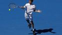 Gilles Simon