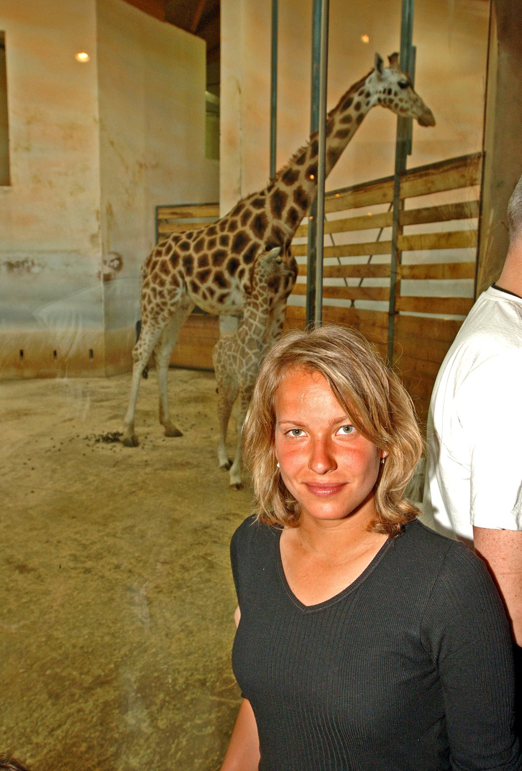 2006. Na návštěvě v zoo za žirafami.