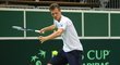 Tomáš Berdych při tréninku na semifinále Davis Cupu s Argentinou