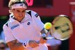 David Ferrer získal titul na antukovém turnaji v argentinském Buenos Aieres