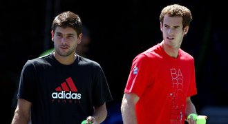 Murray: Berdych je favorit. Nikdo o mně neví víc, než jeho kouč