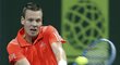 Tomáš Berdych na turnaji v Dauhá