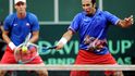 Čeští reprezentanti v akci. Berdych sleduje Štěpánkův volej na síti