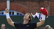 Andy Murray to dokázal, pomohl Veklé Británii k postupu do semifinále Davis Cupu