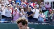 Murray v euforii, Velké Británii právě pomohl do semifinále Davis Cupu