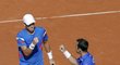 Českou republiku na Davis Cupu ve čtyřhře reprezentoval Štěpánek a Berdych