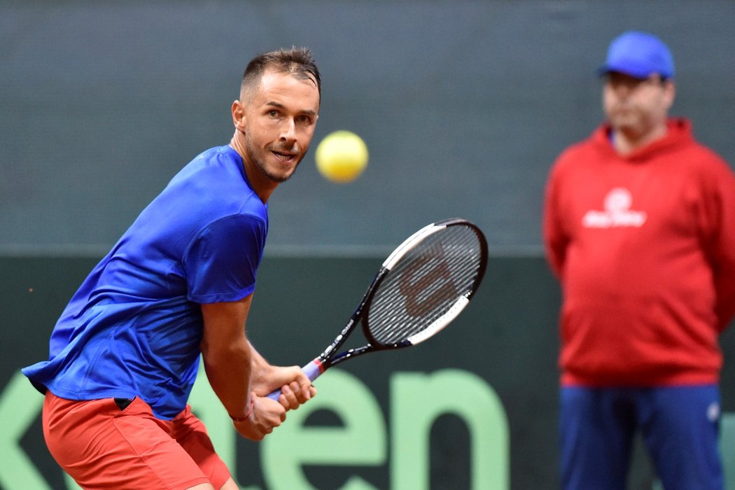 Český tenista Lukáš Rosol během Davis Cupu proti Slovensku